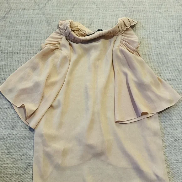 Zara Classy Ruffled Blouse in Soft Pink - Picture 3 of 3